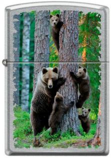  Zippo Bears With Cubs 7079 Feuerzeug